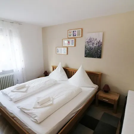 Fewo Libelle 03 - Haus Wintersonne - Feldberg Falkau 公寓