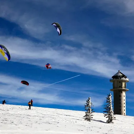 公寓 Fewo Libelle 03 - Haus Wintersonne - Feldberg Falkau *