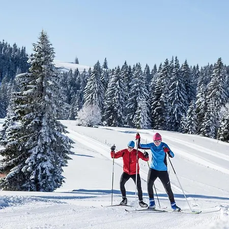 Fewo Libelle 03 - Haus Wintersonne - Feldberg Falkau 公寓 Falkau