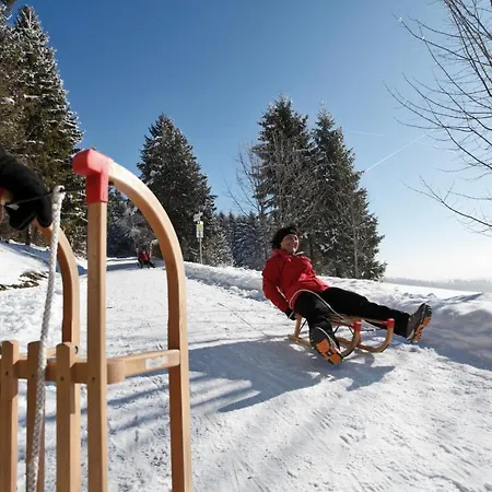 公寓 Fewo Libelle 03 - Haus Wintersonne - Feldberg Falkau *