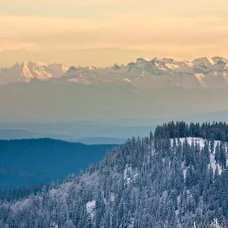 Fewo Libelle 03 - Haus Wintersonne - Feldberg Falkau 公寓 Falkau