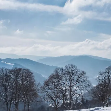 公寓 Fewo Libelle 03 - Haus Wintersonne - Feldberg Falkau *